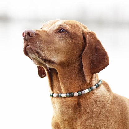 Edelstein-Halskette Fiora EM für Hunde (Heliotrop, Rosenquarz, EM-Keramik)