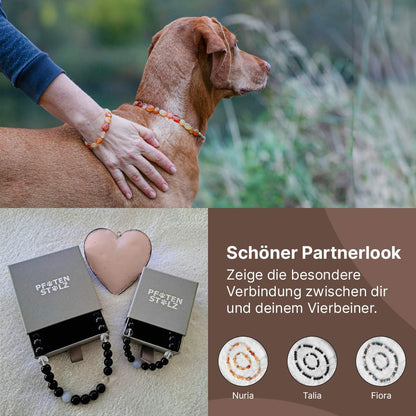 Edelstein-Halskette Nuria für Hunde (Karneol)