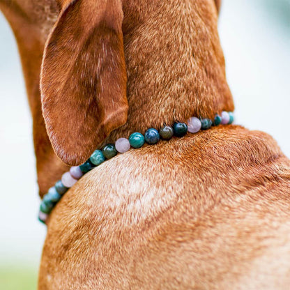Edelstein-Halskette Fiora für Hunde (Heliotrop, Rosenquarz)